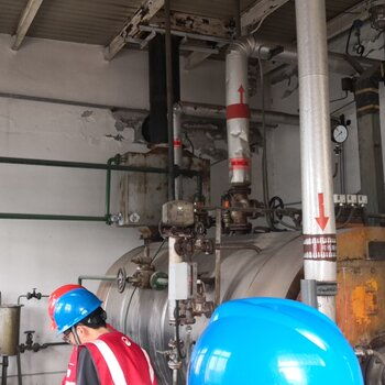 2台40吨燃气锅炉烟气处理脱硝脱硫设备方案
